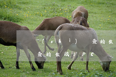 實質(zhì)審查的生效(實質(zhì)審查的生效IPC)