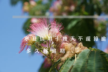 寧夏信用卡幾天不還算逾期(信用卡2天沒還多久算逾期)