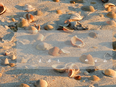 寧夏停息掛賬哪家好(寧夏停息掛賬哪家好)