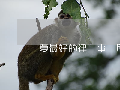 寧夏最好的律師事務所(西寧十大律師事務所)