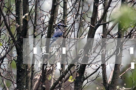 寧夏有關(guān)衛(wèi)生的法律法規(guī)(衛(wèi)生法律法規(guī)有哪些)