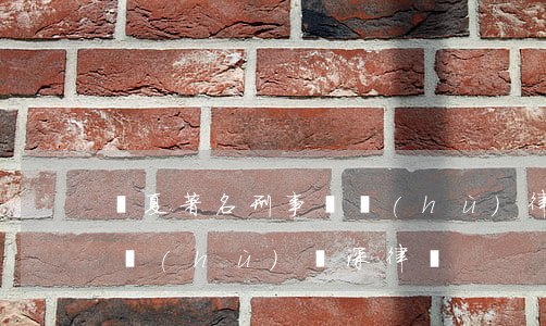 寧夏著名刑事辯護(hù)律師(銀川刑事辯護(hù)資深律師)