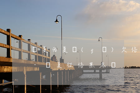 寧夏西夏區(qū)欠信用卡上黑名單的人-寧夏征信黑名單