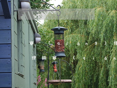 寧強(qiáng)律師事務(wù)所找律師(寧強(qiáng)律師事務(wù)所找律師)