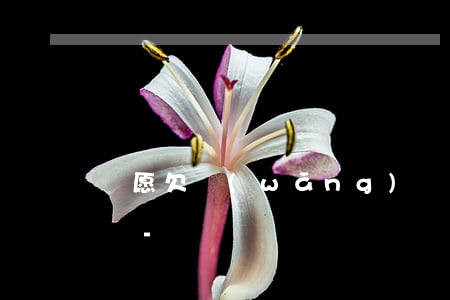 寧愿欠網(wǎng)貸也不要欠信用卡的錢-