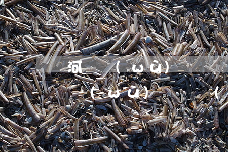 寧河債務(wù)糾紛請(qǐng)律師(債務(wù)糾紛請(qǐng)律師怎么收費(fèi))