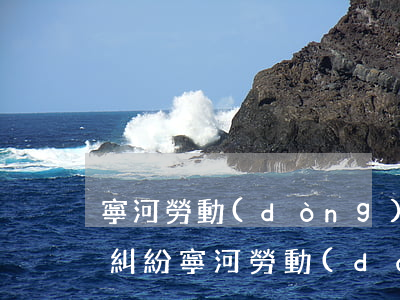 寧河勞動(dòng)爭(zhēng)議糾紛(寧河勞動(dòng)局和人力資源保障局)