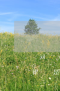 寧河區(qū)律師所有幾家(寧城縣最好的律師是誰)