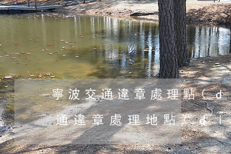 寧波交通違章處理點(diǎn)(寧波市交通違章處理地點(diǎn))
