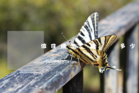 寧波住院工會能報銷多少(寧波總工會住院報銷)
