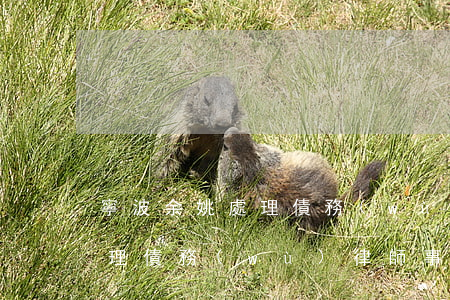 寧波余姚處理債務(wù)律師(寧波余姚處理債務(wù)律師事務(wù)所)