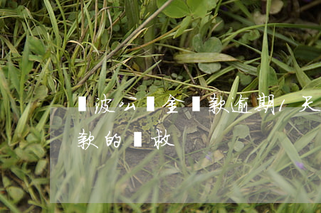 寧波公積金還款逾期1天(寧波公積金逾期還款的補救)