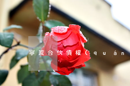 寧波合伙債權(quán)債務(wù)