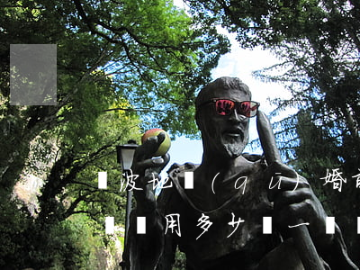 寧波地區(qū)婚前財產(chǎn)律師費用多少(請一個寧波律師大概多少錢)