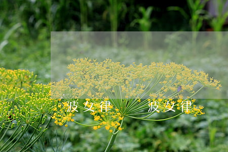 寧波女律師(寧波女律師籠中蟹)