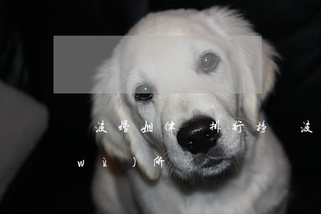 寧波婚姻律師排行榜(寧波最好的律師事務(wù)所)