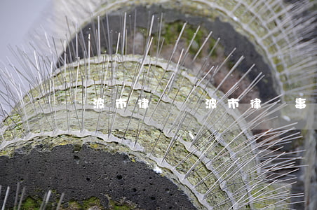 寧波市律師(寧波市律師事務(wù)所)