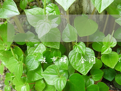 寧波市聘請合同糾紛律師費用多少