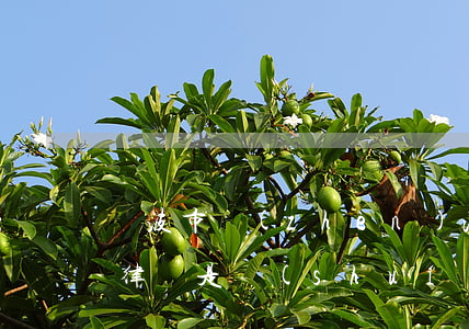寧波市鎮(zhèn)海區(qū)最好的律師是誰(shuí)(鎮(zhèn)海律師事務(wù)所哪里有)