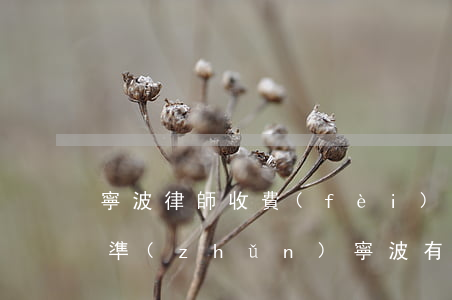 寧波律師收費(fèi)的標(biāo)準(zhǔn)(寧波有免費(fèi)律師嗎)