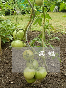 寧波搬遷律師(寧波拆遷戶)