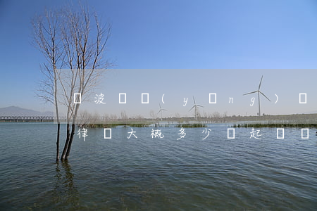 寧波撫養(yǎng)權(quán)糾紛律師大概多少錢(起訴撫養(yǎng)費(fèi)律師費(fèi)多少錢)