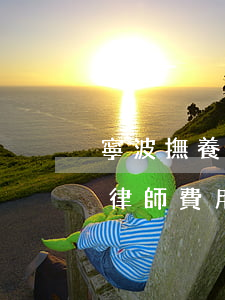 寧波撫養(yǎng)權(quán)糾紛律師費用標(biāo)準(zhǔn)(撫養(yǎng)權(quán)律師費用收取標(biāo)準(zhǔn))