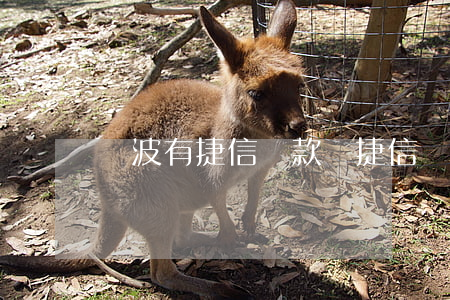 寧波有捷信貸款嗎(捷信貸款正規(guī)嗎)