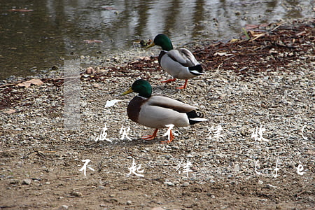 寧波欠錢不還律師收費(fèi)多少(欠錢不還起訴律師費(fèi)多少)