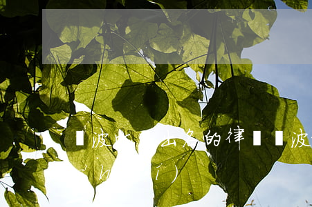 寧波比較出名的律師(寧波最好的律師是誰(shuí))