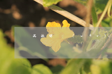 寧波法律顧問(wèn)(寧波律師推薦)