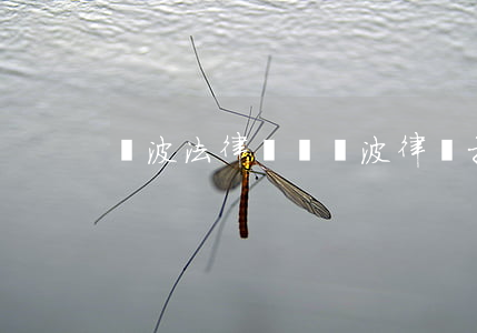 寧波法律顧問(寧波律師推薦)