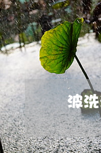 寧波洗浴中心(寧波洗浴中心一條龍)