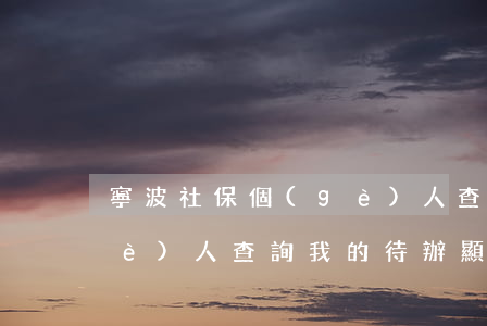 寧波社保個(gè)人查詢(寧波社保個(gè)人查詢我的待辦顯示占無(wú)數(shù)據(jù)是什么原因)