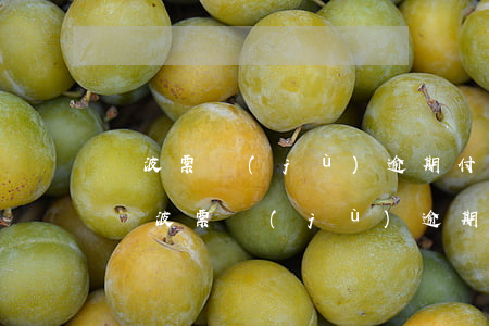 寧波票據(jù)逾期付款費(fèi)用(寧波票據(jù)逾期付款費(fèi)用怎么算)