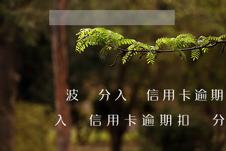 寧波積分入戶信用卡逾期扣幾分了（寧波積分入戶信用卡逾期扣幾分）