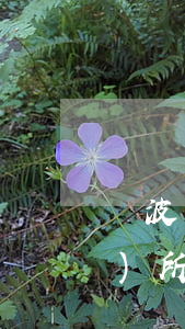 寧波經(jīng)濟糾紛律師事務(wù)所(寧波律師事務(wù)所目錄及其人員名單)