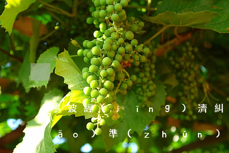 寧波經(jīng)濟糾紛律師費標(biāo)準(zhǔn)(寧波經(jīng)濟糾紛律師咨詢)
