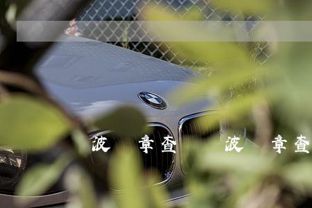 寧波違章查詢(寧波違章查詢在線查詢)