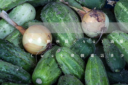 寧波鄞州區(qū)債權(quán)債務(wù)律師電話多少-寧波鄞州區(qū)債權(quán)債務(wù)律師電話多少號