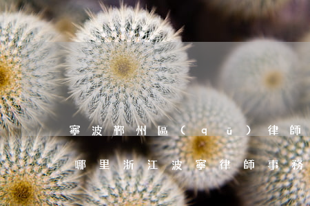 寧波鄞州區(qū)律師事務(wù)所在哪里(浙江波寧律師事務(wù)所地址)