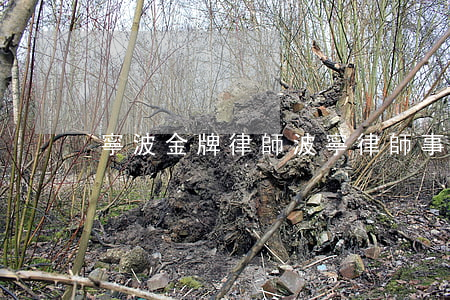 寧波金牌律師(波寧律師事務(wù)所)