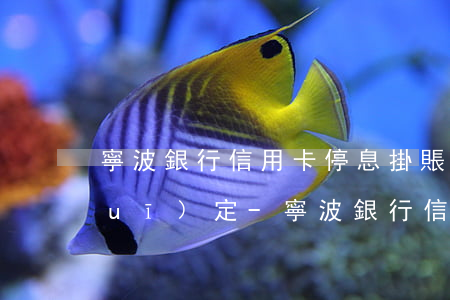 寧波銀行信用卡停息掛賬2020新規(guī)定-寧波銀行信用卡停息掛賬2020新規(guī)定是什么