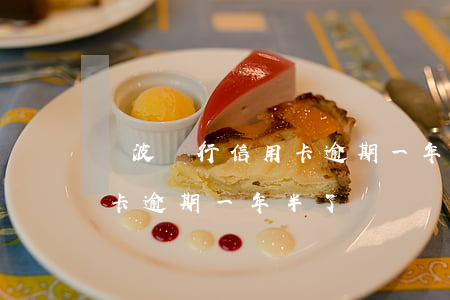 寧波銀行信用卡逾期一年半了(寧波銀行信用卡逾期一年半了)