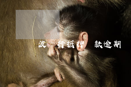 寧波銀行抵押貸款逾期(寧波銀行 抵押貸款)