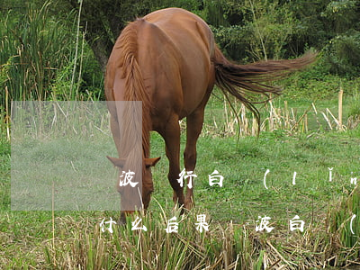 寧波銀行白領(lǐng)融逾期10天有什么后果（寧波白領(lǐng)融逾期可以申請(qǐng)萬(wàn)利金）