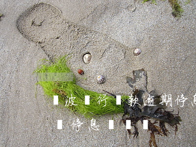 寧波銀行貸款逾期停息掛賬(寧波銀行可以申請停息掛賬嗎)