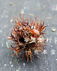 寧波銀行貸款逾期可以協(xié)商減免一些本金嗎-寧波銀行貸款逾期可以協(xié)商減免一些本金嗎