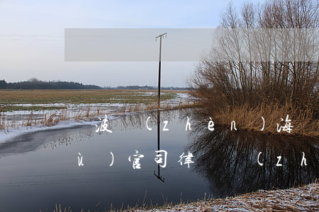 寧波鎮(zhèn)海區(qū)債務(wù)官司律師 鎮(zhèn)海區(qū)律師咨詢