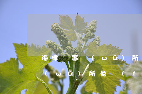 寧海律師事務(wù)所有多少(海寧律師事務(wù)所免費(fèi)咨詢(xún))
